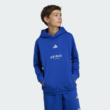 adidas ALL SZN Graphic Hoodie Kids - Blue barnapeysa