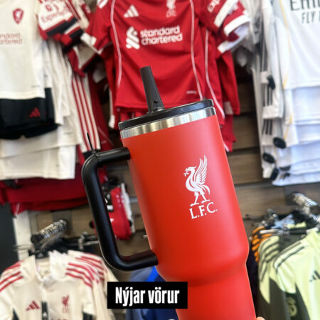 Liverpool brúsi - stór