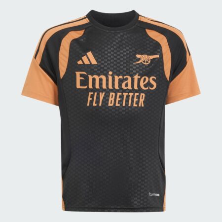 Adidas Arsenal TR Jersey barna